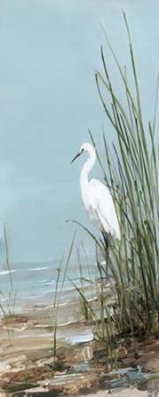 Island Egret II Poster Print by Sally Swatland - Item # VARPDX17792